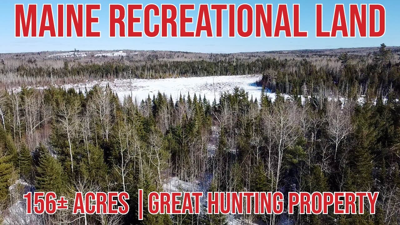 156± Acres of Recreational & Timber Land | Maine Real Estate