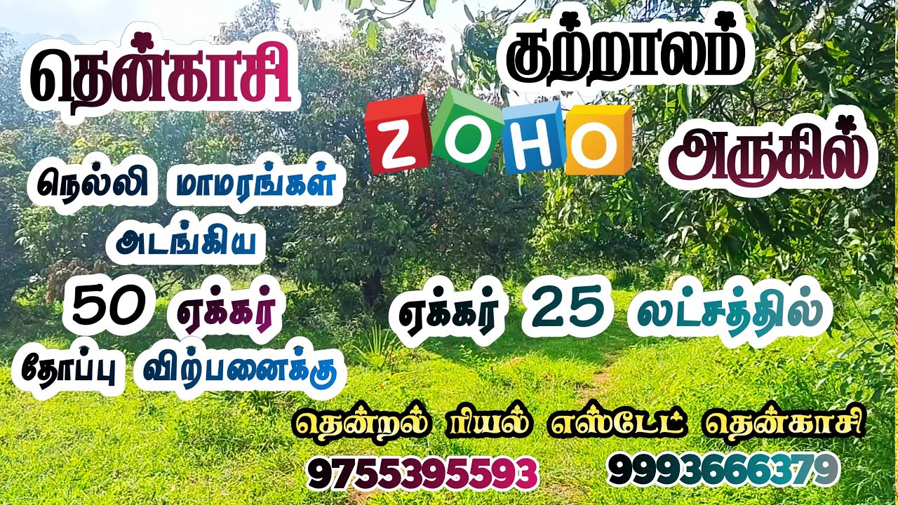 #தென்காசி || பழைய #குற்றாலம் அருகில் || மாமரங்கள் நெல்லி அடங்கிய 50 ஏக்கர் தோப்பு விற்பனைக்கு 🌴🌳🥭