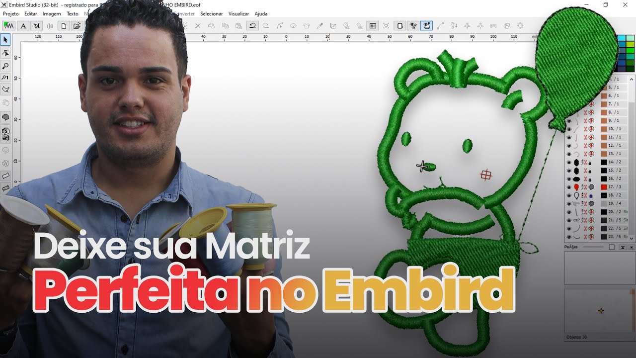 Configuração certa para sua matriz ficar perfeita no programa Embird || Free Hand Bordados