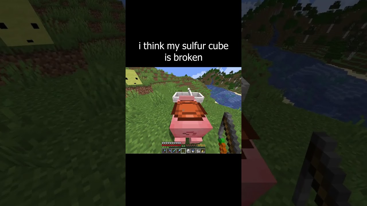 i think my sulfur cube is broken