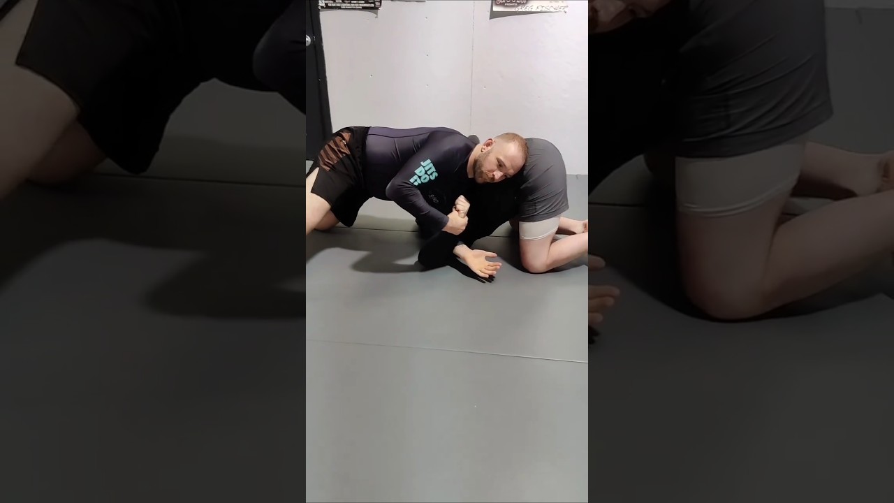 Hammerlock vs Turtle 🔥 #bjj #catchwrestling #grappling