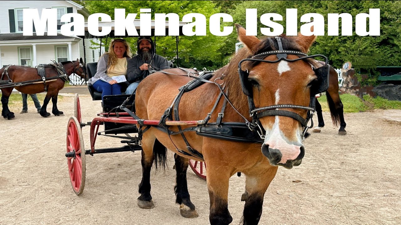 Explore Mackinac Island by Horse-Drawn Carriage! 🐴