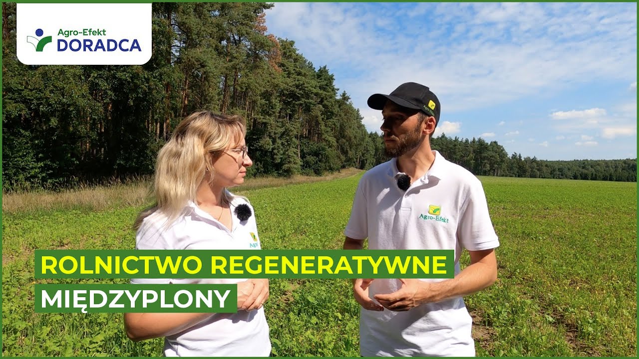 Rolnictwo regeneratywne i międzyplony - Agro-Efekt