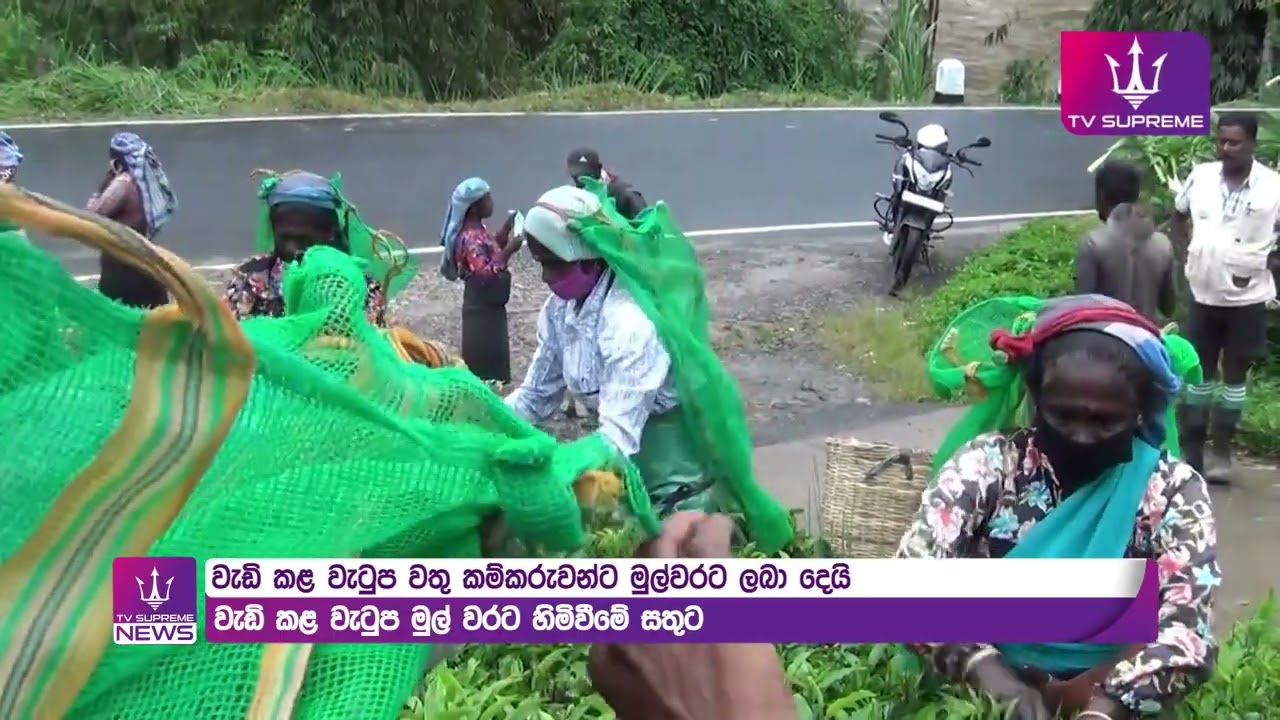 වතු කම්කරුවන් රු 1750/=  ලැබූ සතුට සමරයි... රජයට ස්තුති කළ වතු කම්කරු ජනතාව