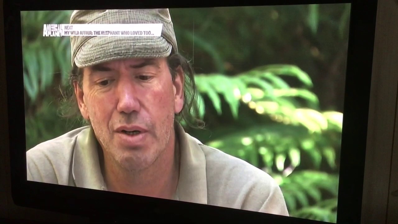 Video Evidence of Knysna Forest Elephant