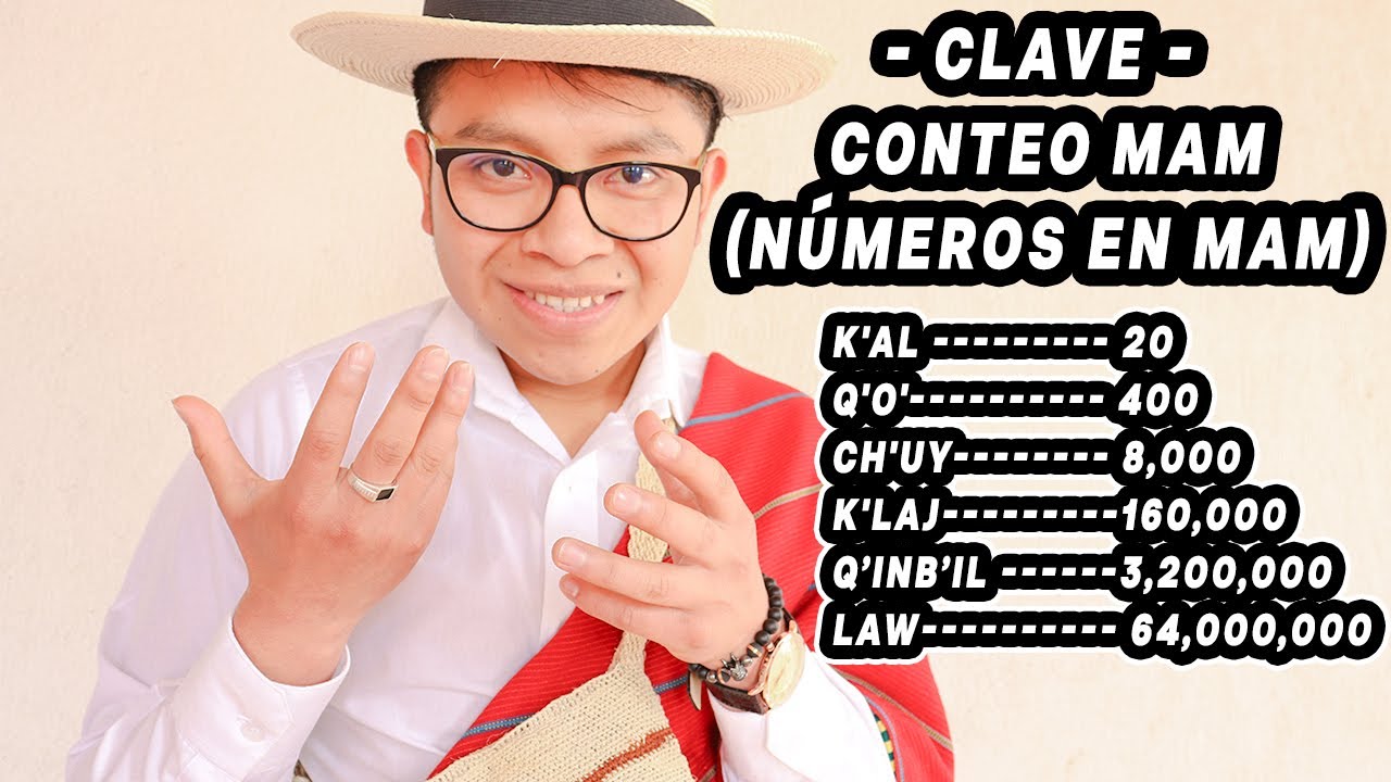 NÚMEROS EN MAM | CONTEO
