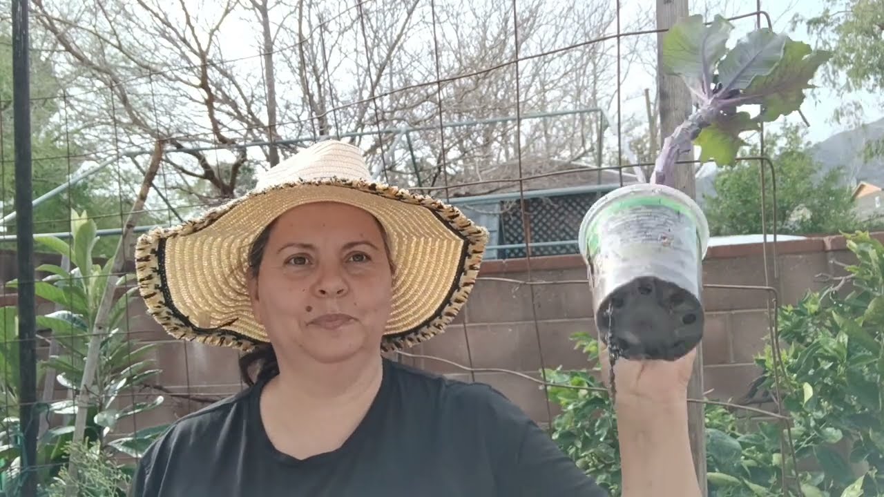 Se tiene que cambiar el sustrato  de las macetas cada vez que plantamos nuevas plantas?