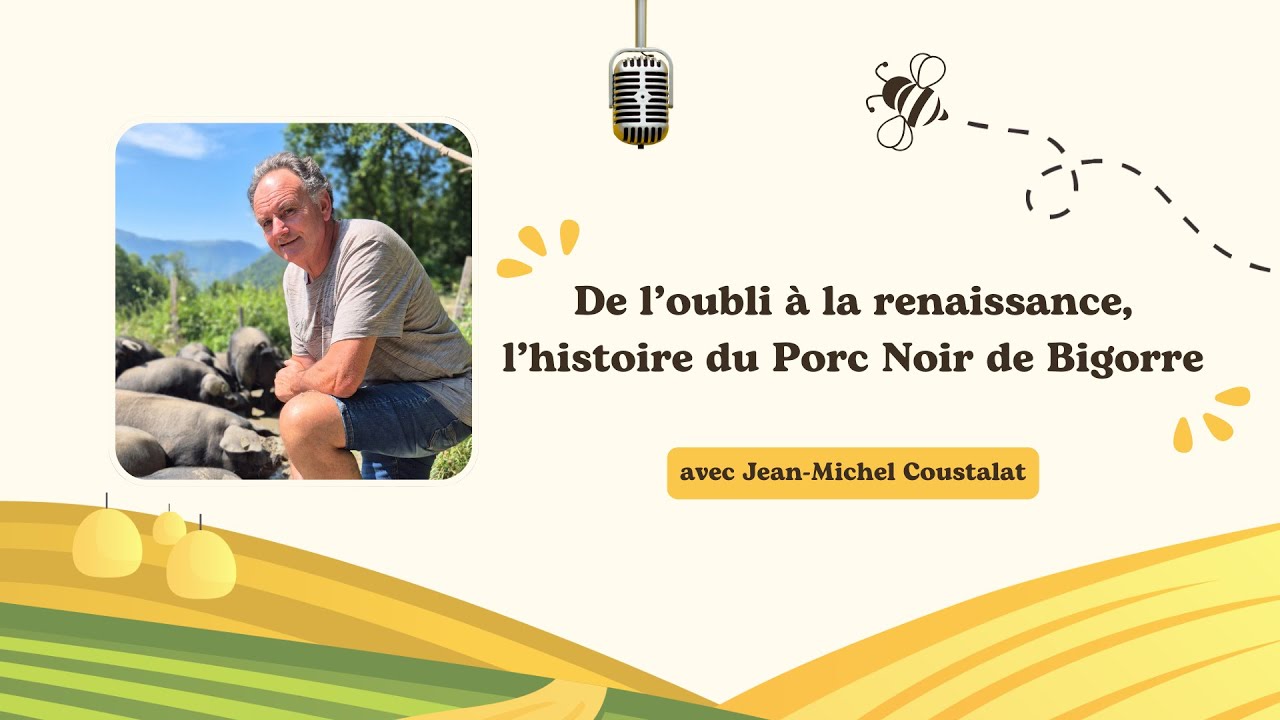 De l'oubli à la renaissance, l'histoire du Porc Noir de Bigorre - Interview de Jean-Michel Coustalat