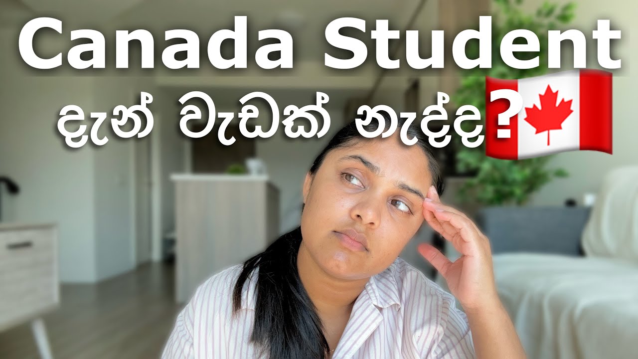 Canada Student Visa Reject වුනාද 🇨🇦 | දැන් ඇවිල්ලා වැඩක් නෑ #canada #internationalstudent #sinhala