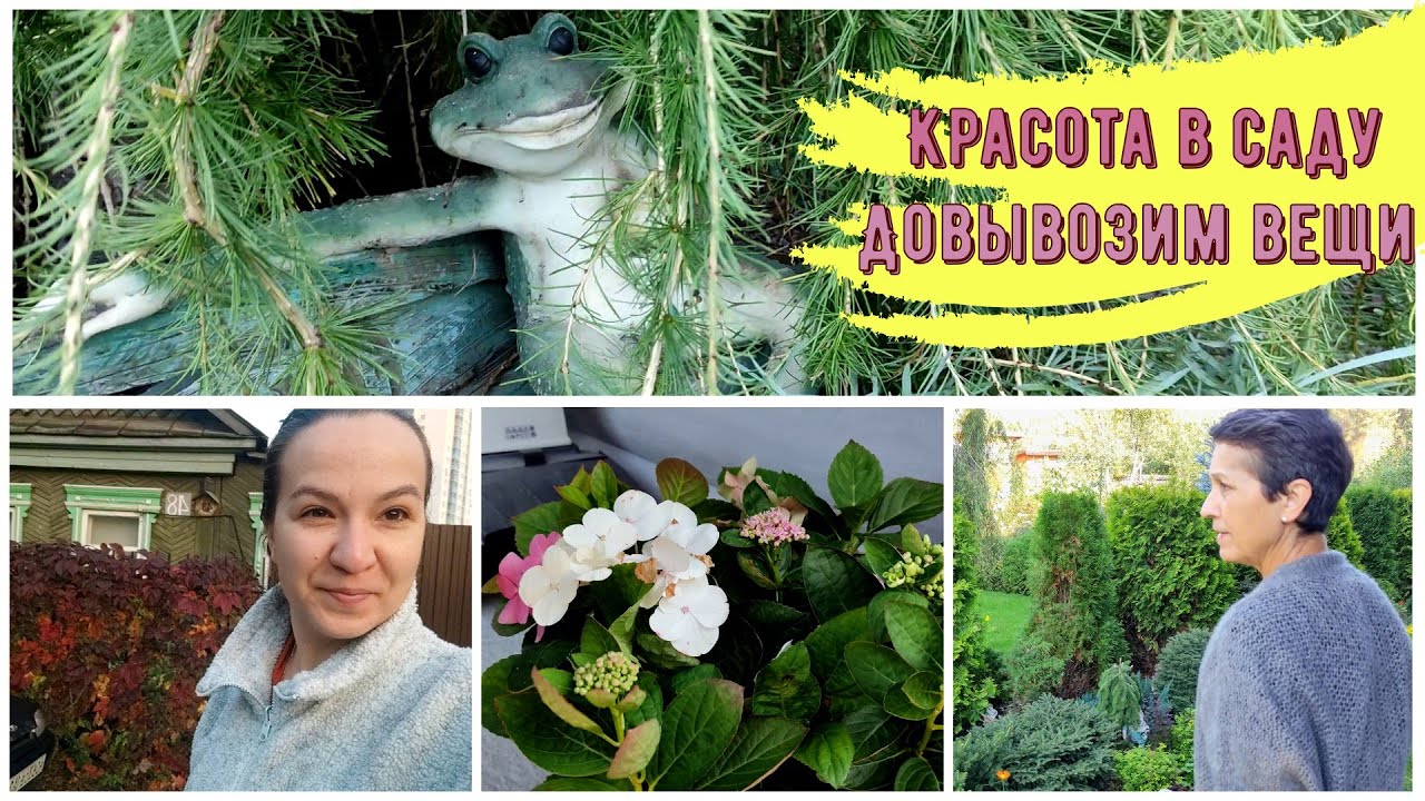 Гуляю по саду | Лягушата музыканты | Доупаковываемся | Задымился камин