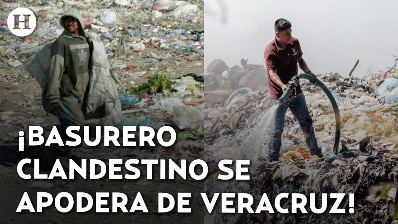 ¡Viven entre la basura! Vecinos denuncian tiraderos clandestinos en terrenos abandonados de Veracruz
