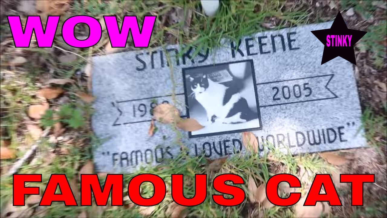 AMAZING FIND PET CEMETERY