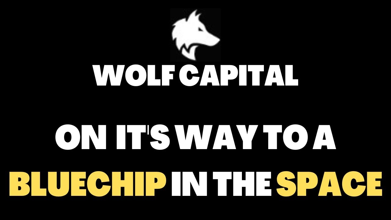 WOLF CAPITAL - IS IT ALREADY A BLUECHIP PROJECT? | CRYPTO DEFI 2023