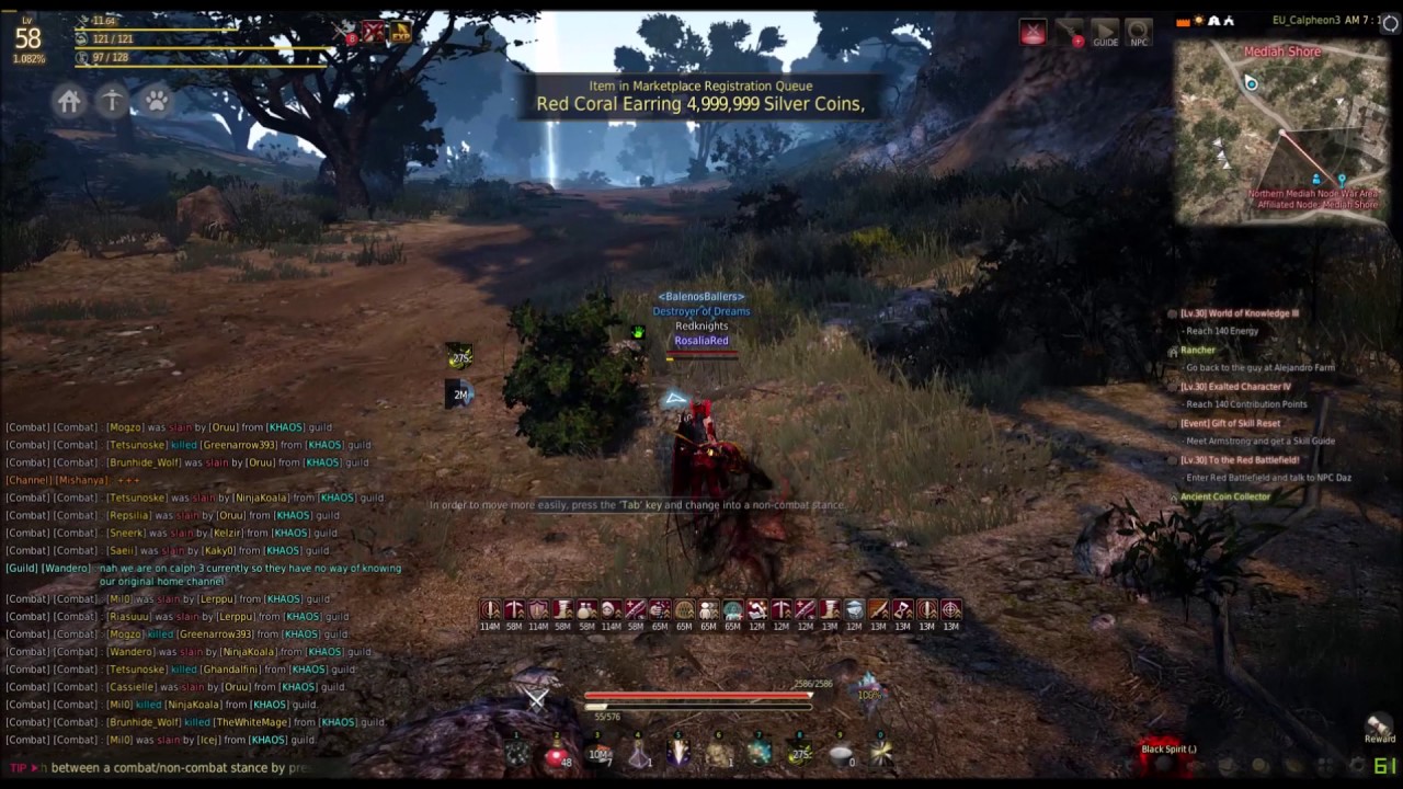 BDO(EU) Guild war!!! highlights(Valk)