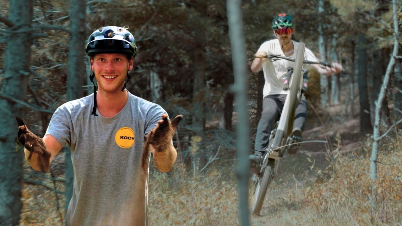 Home of Cobra #1 The ultimate Mountainbike Flow in Lower Austria