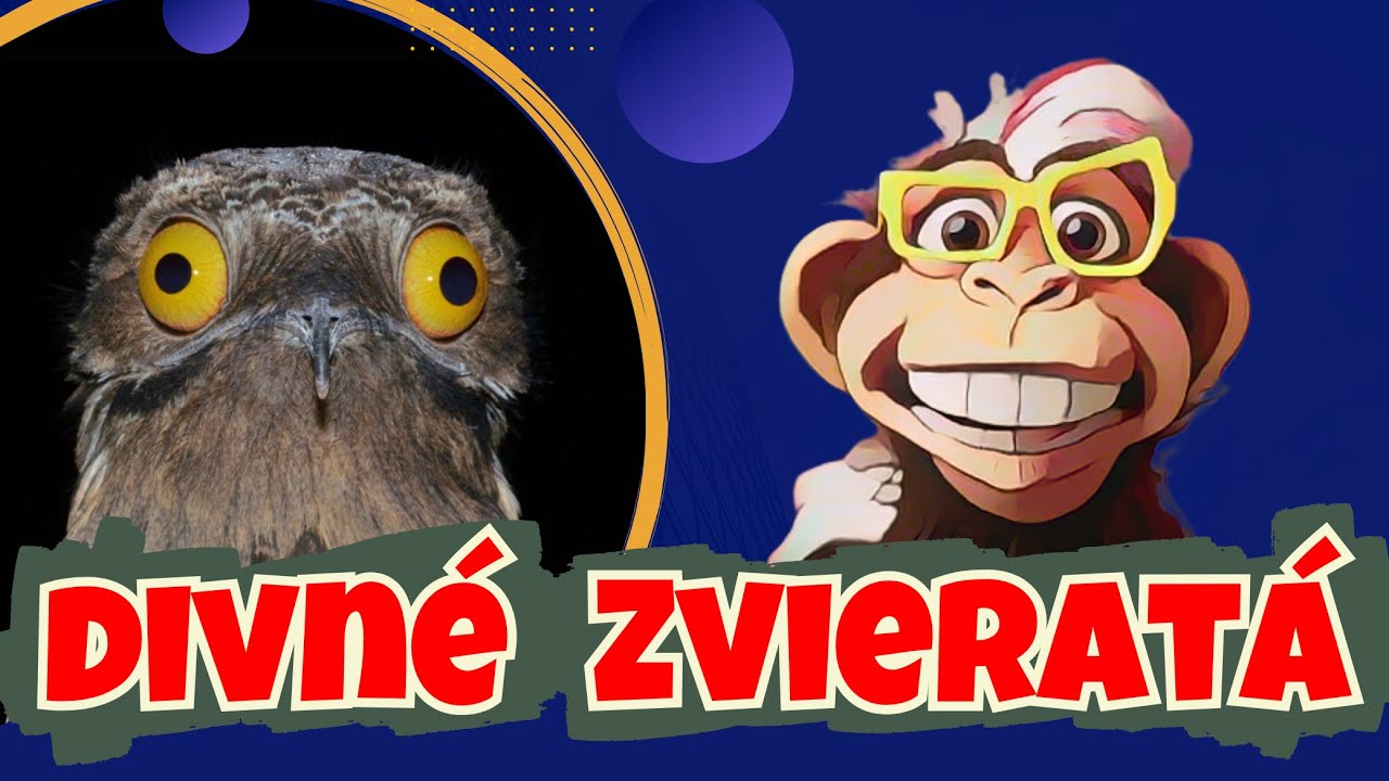 Sranda banda - Divné zvieratá