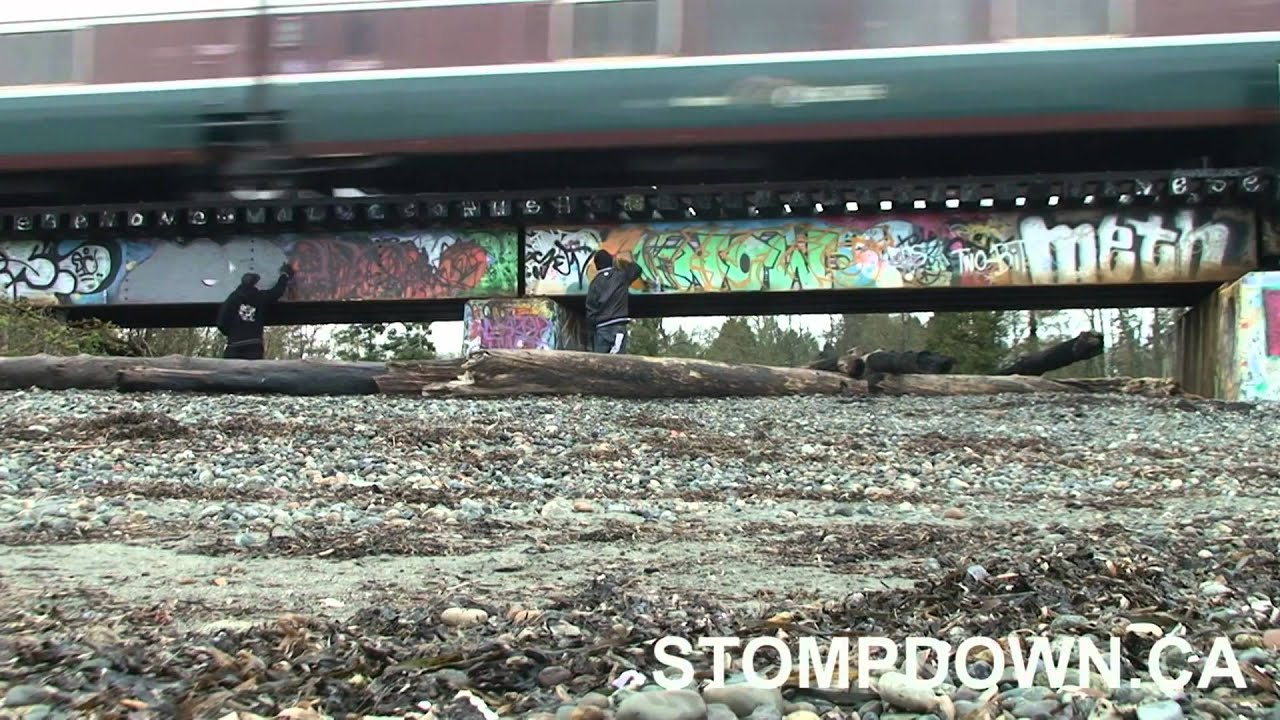 train passing on the bridge