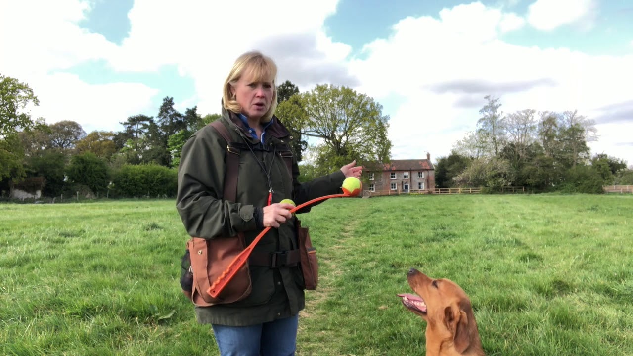 Rufriver Gundogs Stop Whistle Challenge