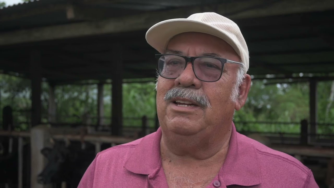 LA PARROQUIA TAYUZA: ZONA GANADERA Y PRODUCTORA DE LECHE - GOBIERNO MUNICIPAL DEL CANTÓN SANTIAGO