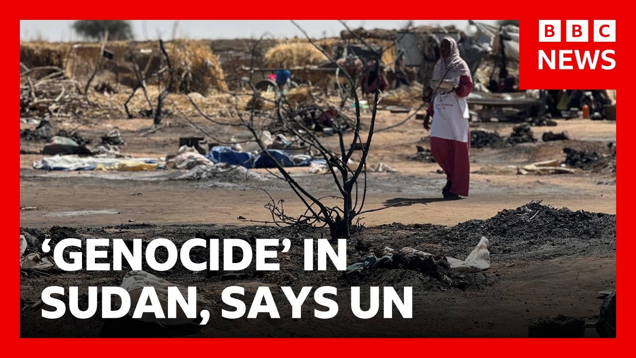 Sudan atrocities 'hallmarks of genocide', UN says | BBC News
