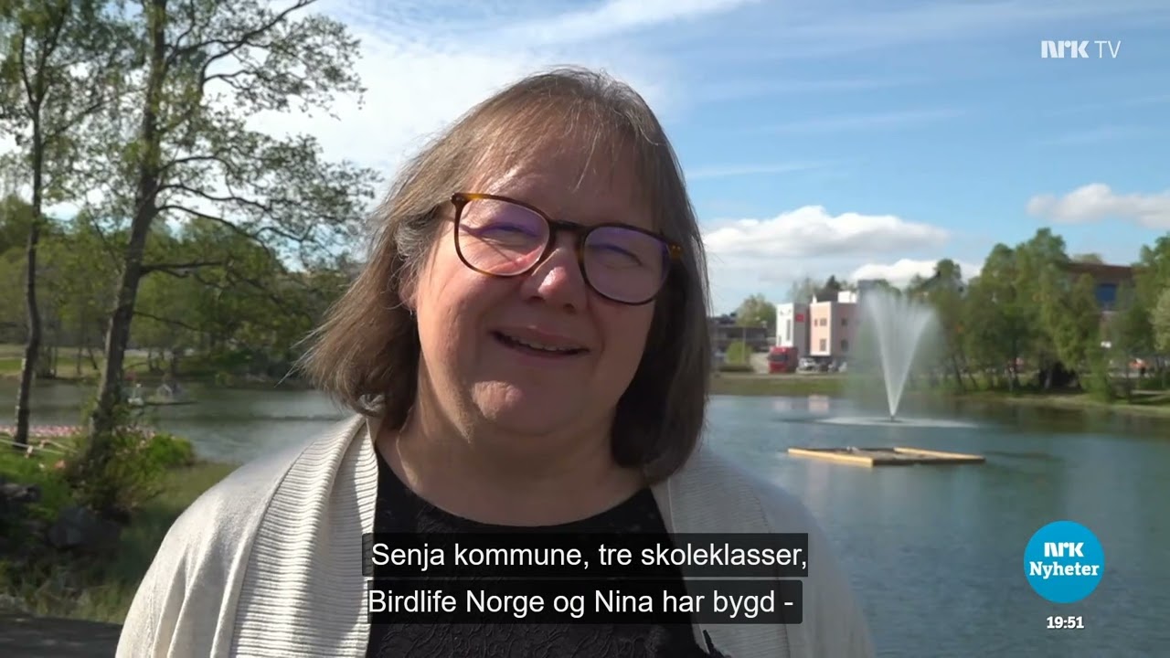 T&aelig;rner terroriserer folk i og ved Finnsnes sin Lekepark