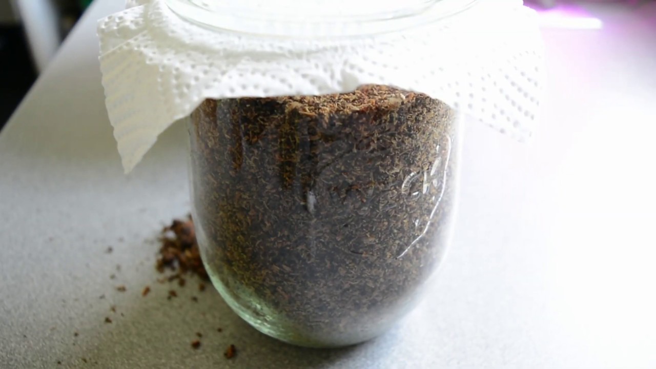 🍄 Speisepilze selber anbauen #3 Pilzsubstrat vermehren