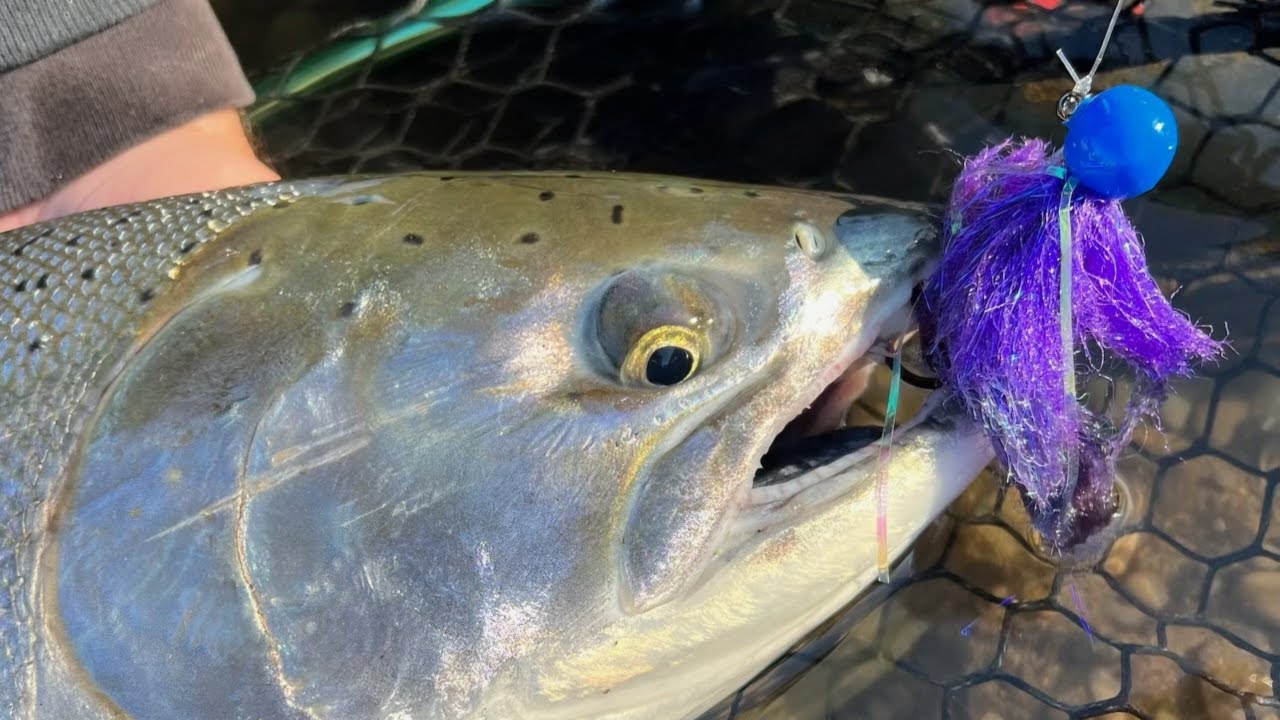 Twitching for Salmon! |  Techniques, colors, and strategies to catch more fish!