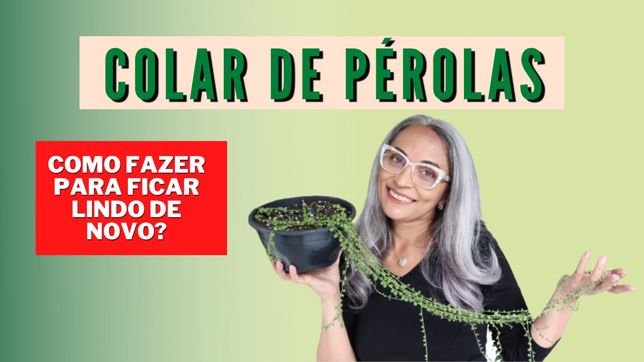 Como recuperar o "Colar de Pérolas" para ele voltar a ficar lindo.