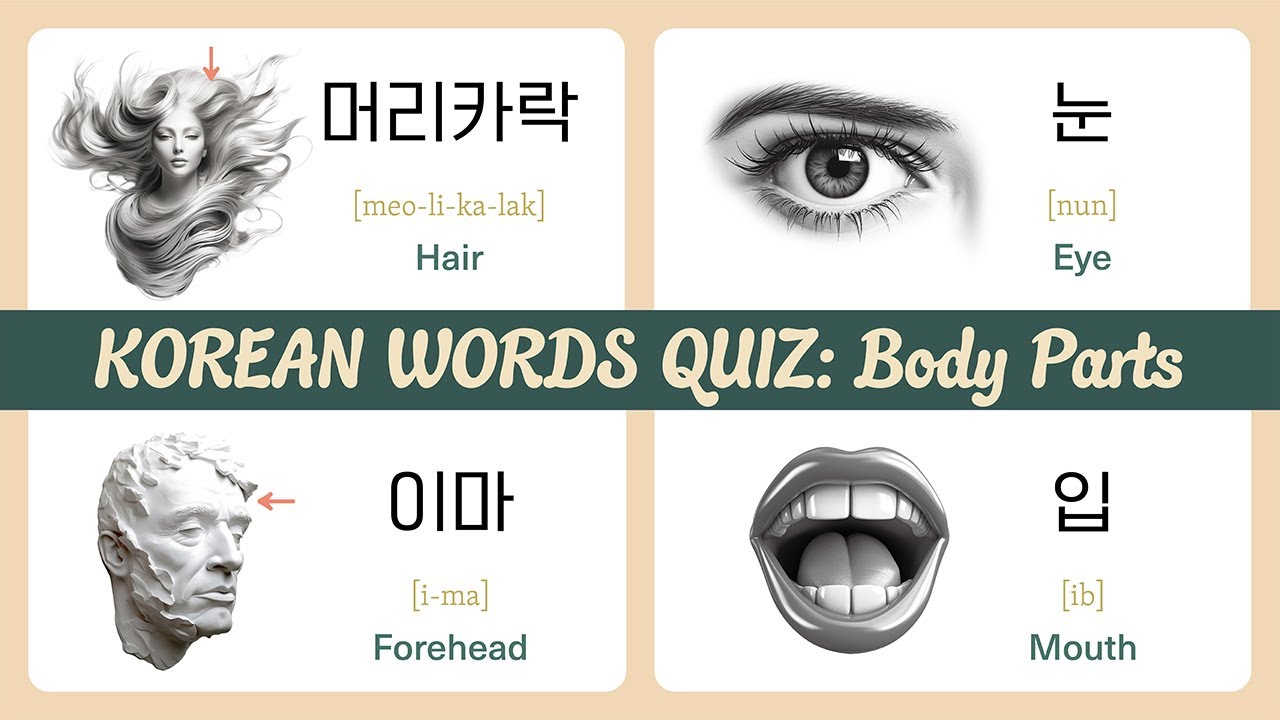 Master Body Parts Vocabulary: Learn Korean Quickly with a Effective Flashcard Quiz