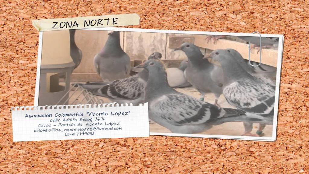 Palomas en Carrera - Programa 2 - Bloque 1 - 21/06/14