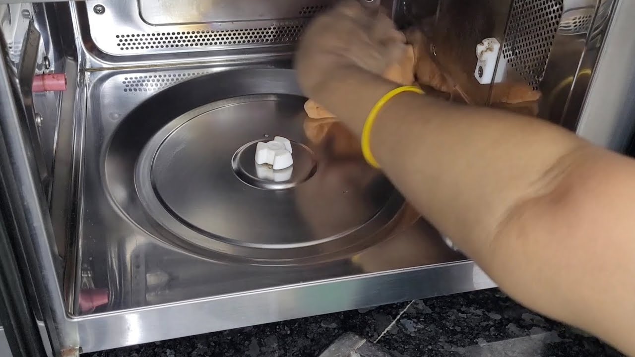 I Deep Cleaned the World's Most Expensive Microwave