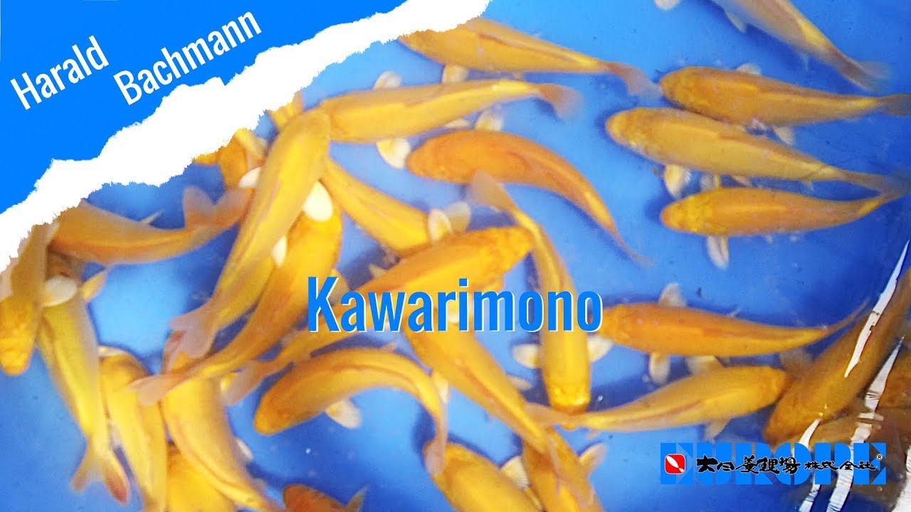 Kawarimono