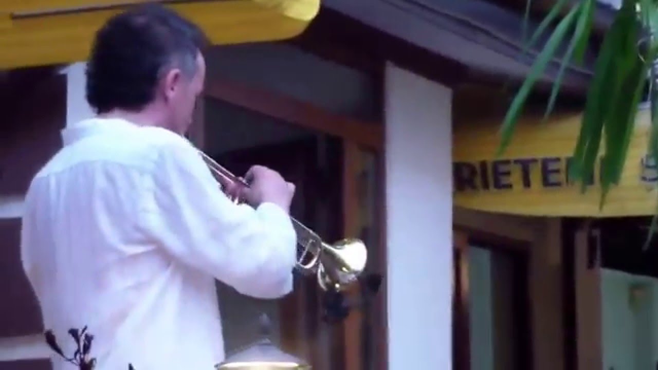 Mirel Manea și Magix Orchestra -  El condor pasa