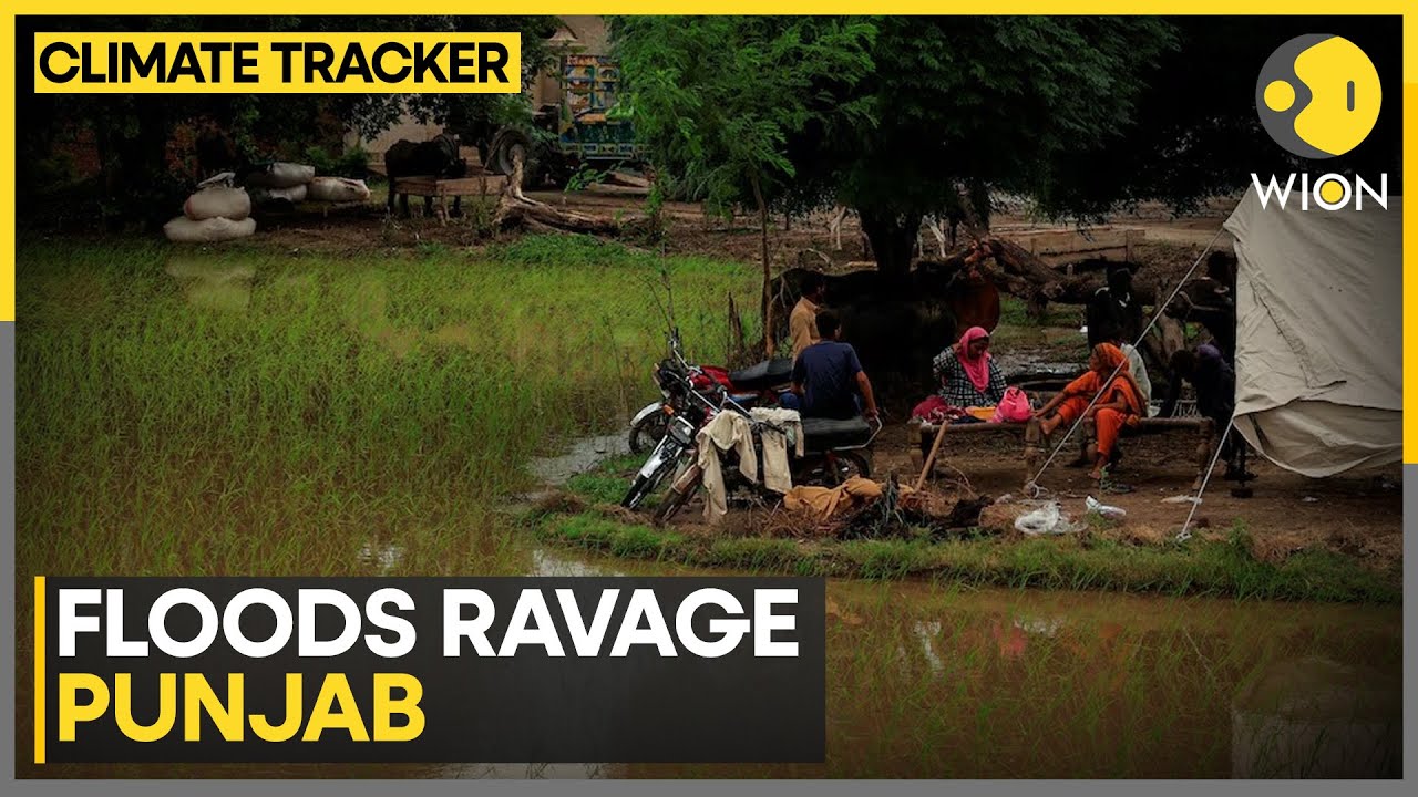 Punjab Floods: Over 1,000 Villages Submerged, At Least 29 Dead | WION Climate Tracker
