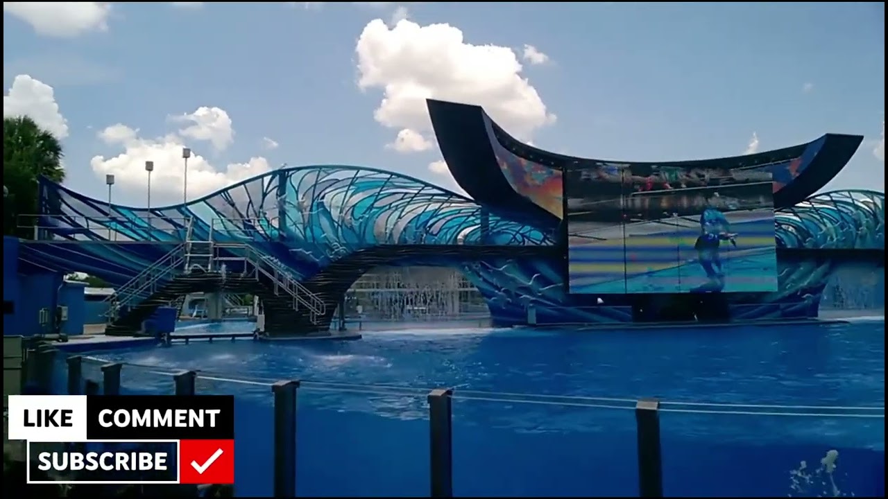 Seaworld orlando Florida 