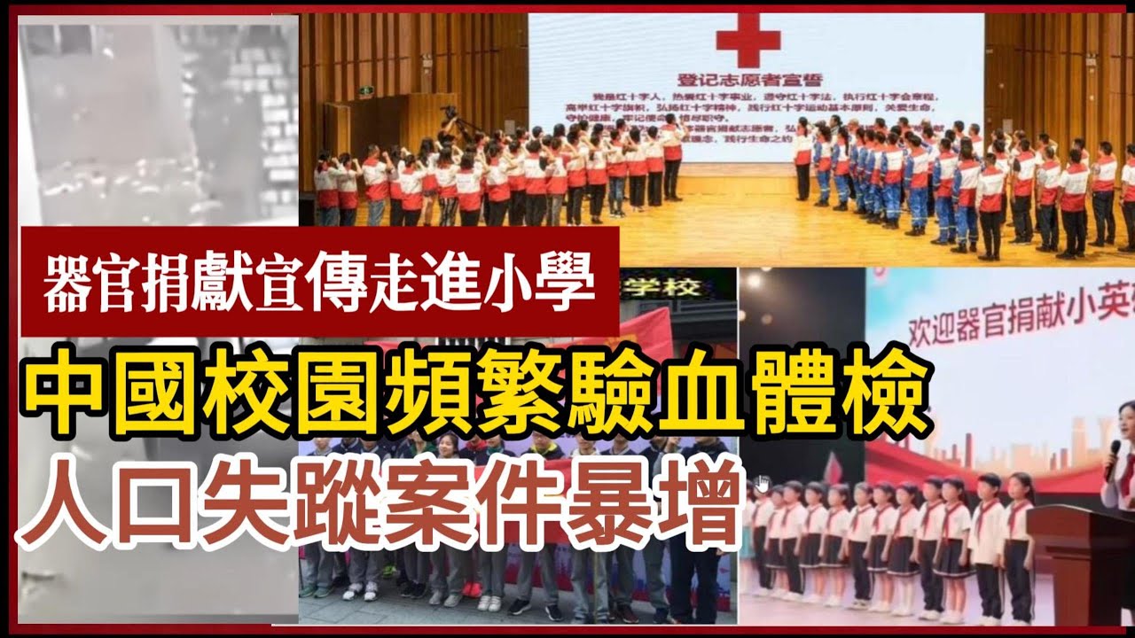 中國人口離奇失蹤數量暴增，校園頻繁驗血體檢，器官捐獻宣傳進入校園  #真實的中國 #人口失蹤