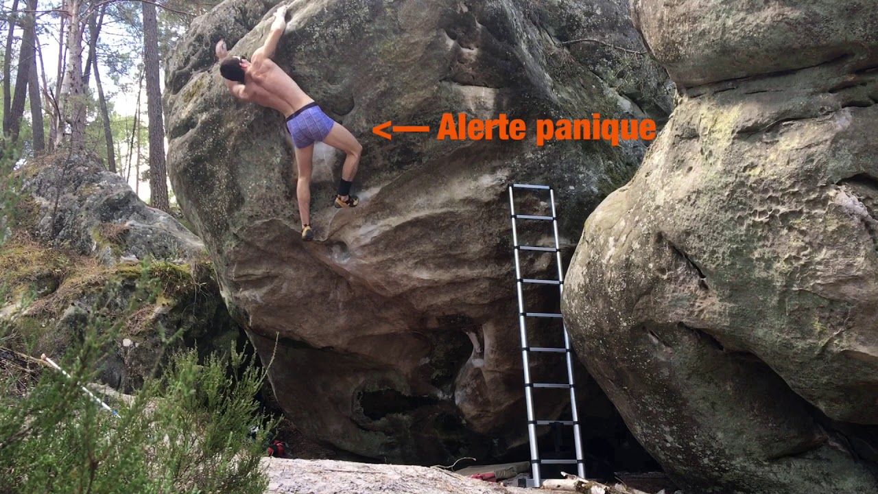 Fontainebleau - Elephant Nord - Fat Teddy's Drop (7C+)