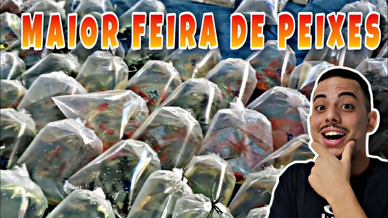 A MAIOR FEIRA DE PEIXES ORNAMENTAIS DO BRASIL-  CECAP GUARULHOS/SP