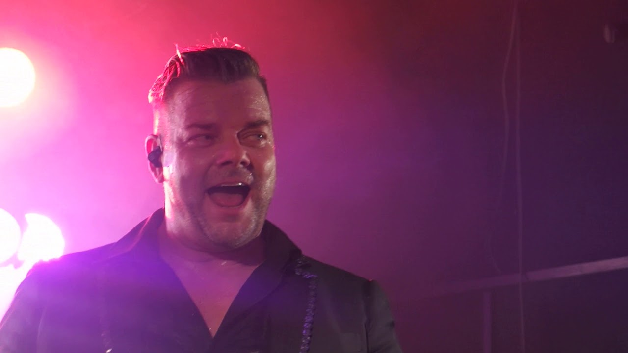 Jari Sillanpää: Sinä ansaitset kultaa // Hercules, 2018