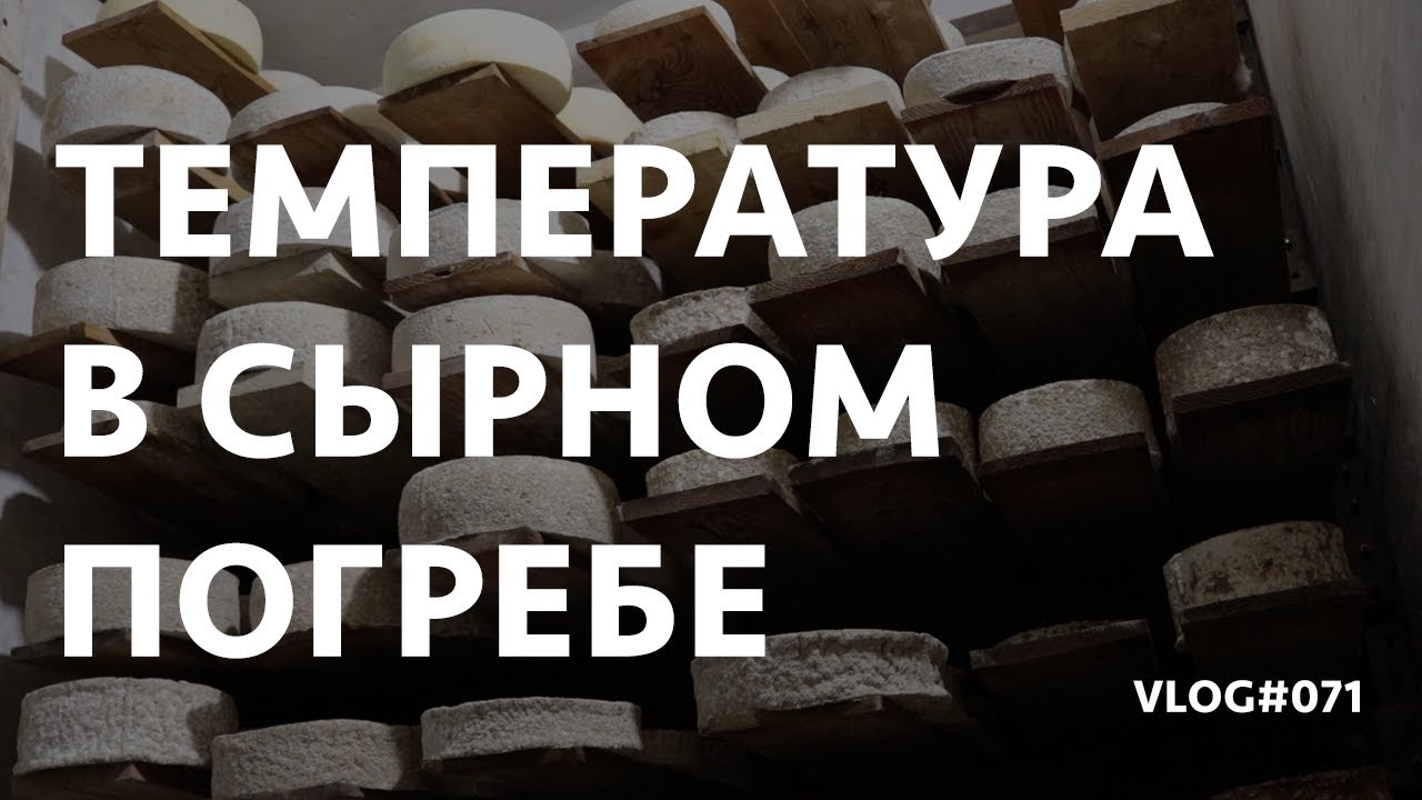 Температура в сырном погребе