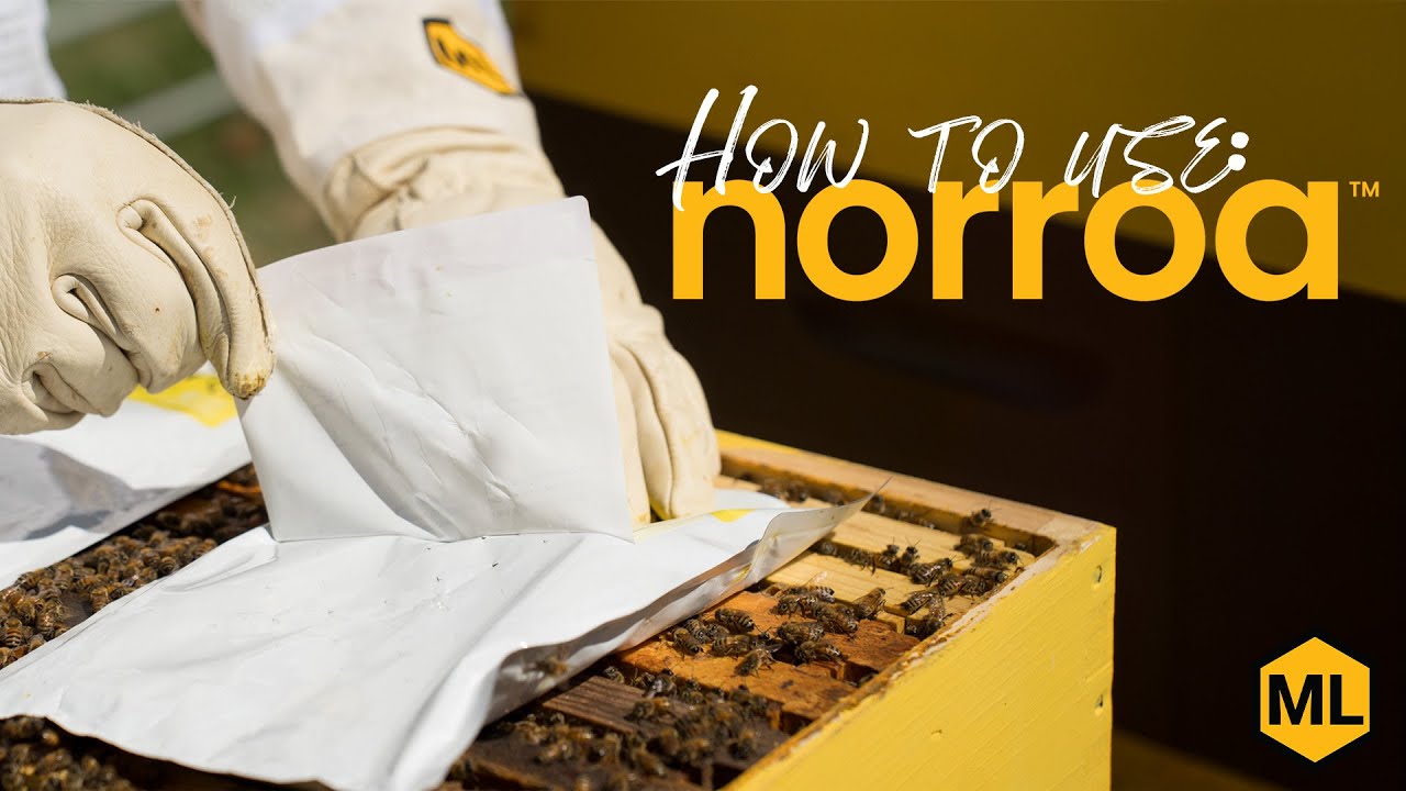 How to Apply Norroa | Step-by-Step Varroa Mite Treatment Guide
