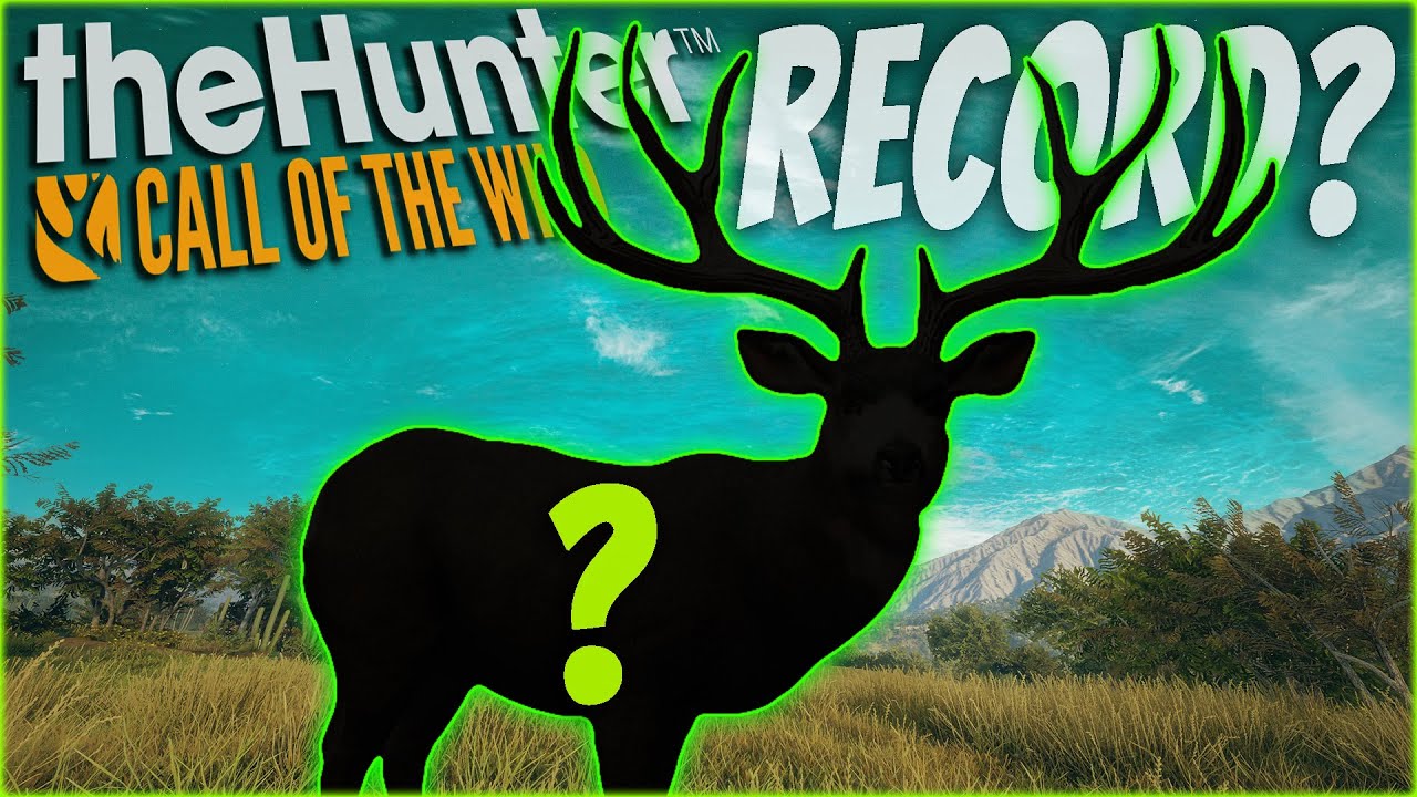 This Could Be My RECORD Diamond Mule Deer! Call of the wild