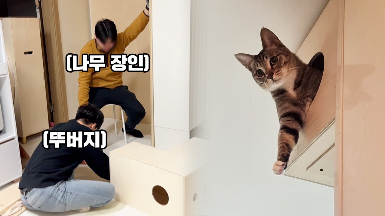 좁은 집에 고양이 방 만들기