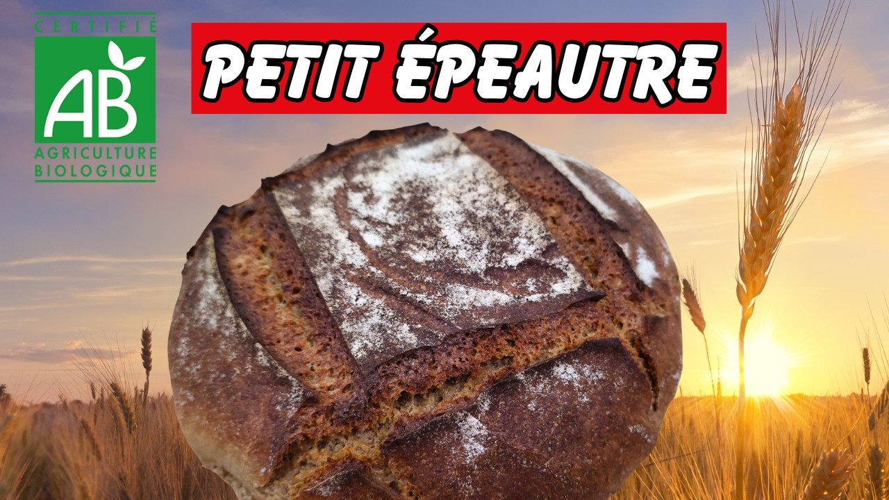 Pain au PETIT ÉPEAUTRE - La recette qui marche à tous les coups (astuce de Boulanger)