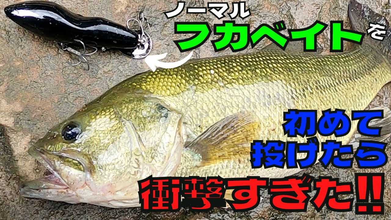 フカベイトがやっぱりヤバすぎた‼️ジョイントフカベイトがヤバいけどノーマルのフカベイトはもっとヤバイ⁉️【バス釣り】