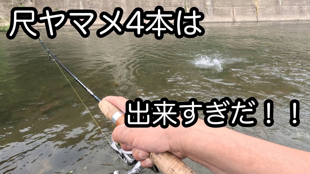 6月に尺ヤマメ連発⚠️