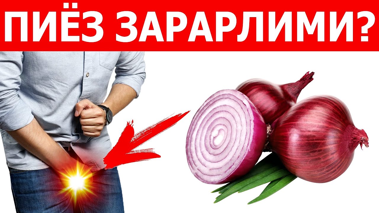 СИЗ ИСТЕЪМОЛ ҚИЛАЁТГАН ПИЁЗ АСЛИДА ОРГАНИЗМГА ҚАНДАЙ ТАЪСИР ҚИЛИШИНИ БИЛАСИЗМИ?