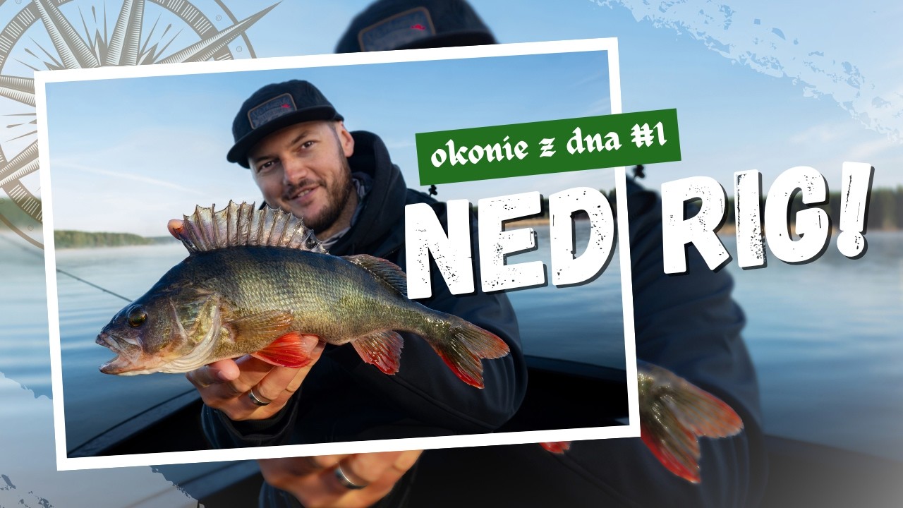 Jak łowić OKONIE z dna? Moja skuteczna metoda to NED RIG!