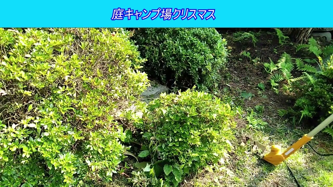 庭キャンプ場作り４０　古いスバルサンバー スーパーチャージャー4WDを整備してキャンピングカーを自作します。 ｜軽自動車を車検整備して、車中泊できるようにします。