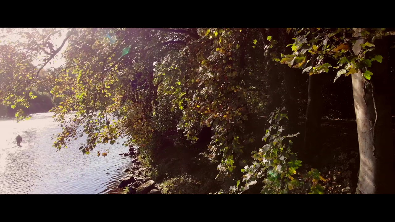 Sion Mills by Drone - Autumn 2018